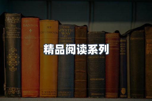 精品阅读系列